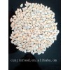 pumkin seed