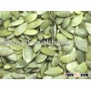 White Pumpkin Kernels