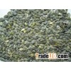 Agriculture Different Types of Pumpkin Seeds Kernel& Pumpkin Seeds GWS /Dark Green Pumpkin Seeds