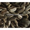 Pumpkin Seeds Sunflower Seeds Flaxseeds for sale