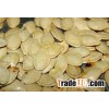 Pumpkin Seeds
