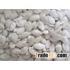 Dried Snow White Pumpkin Seeds