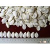 High Quality Roasted and Salted Pumpkin Seeds for Export