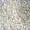 white pumpkin seeds