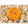 Pumpkin Seeds