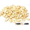 Pumpkin seed
