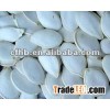 Snow White Pumpkin Seed,In Shell