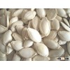 pumpkin seeds