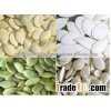 PUMPKIN SEEDS AND KERNELS