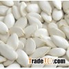 Snow White Pumpkin Seeds