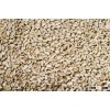 Natural dried bulk shine skin export pumpkin seeds