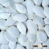 white Pumpkin Seeds