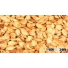 Quality Snow white pumpkin seeds 11cm,13cm ,14cm
