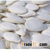 Pumpkin Kernel, Snow White Pumpkin Seeds, Organic Pumpkin Seeds for sale
