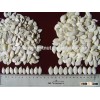 High Quality Chinese Snow White Pumpkin Seeds with Low Price