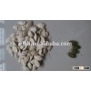 crop 2015 Inner mongolia pumpkin seeds for food