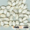 Pumpkin Seeds