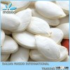 2012 crop PUMPKIN, SEEDS. (AAA GRADE AA GRADE,A GRADE)Top quality