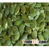 Green Pumpkin Kernel.