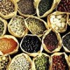 Pumkin Seeds | Watermelon Seeds | Chia Seeds | Sunflower Seeds!