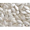 snow white pumpkin seeds,Coriander Seeds,Mustard Seeds,moringa seeds