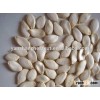 Chinese Good Quality Pumpkin Seeds pumpkin kernels Shine Skin Pumpkin Seeds Snow White Pumpkin Seeds