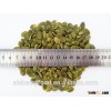 BRC, Kosher, NOP, EC, HACCP, ISO9001 Pumpkin kernel