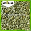 Adenium seeds high quality shine skin pumpkin Seed kernels