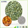 HACCP & ISO Pumpkin seed kernels