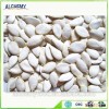 Shine Skin Pumpkin seeds price