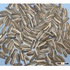 Sunflower Seeds for human consumption