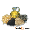 Hot Sale New Crop Sunflower Seed Kernels GRADE A QUALITY Sunflower Seeds