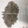 Sunflower Seeds