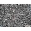 Sunflower seed