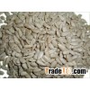 Sunflower seeds kernels