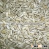 Sunflower seed kernel 2013 crop