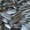 2015 new sunflower seeds 5009 For Sale