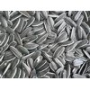 Sunflower Kernels