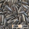 Black Sunflower Seeds and sunflower seeds price in China for sale/