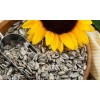 Sunflower Seeds