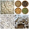 Hot Sale China New Blanched Sunflower Seeds Kernels