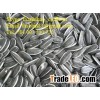 Sunflower kernels