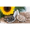 Sunflower Seed Kernels