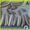 Flower Seeds/ Burped Seeds/ Bird Food for Sunflower Seeds
