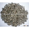 chinese sunflower seeds in shell