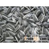 New crop Sunflower Seeds
