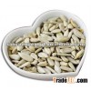 confectionery grade sunflower kernel