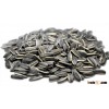 sunflower seeds