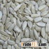 Sunflower Seeds Kernels for sale