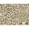 Hulled sunflower kernels